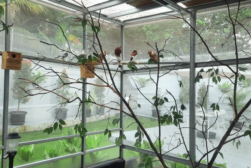 Garden Villa By Villapedia Богор Екстериор снимка